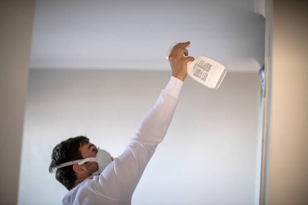 Best Professional Mold Removal  in Alanuk, AK