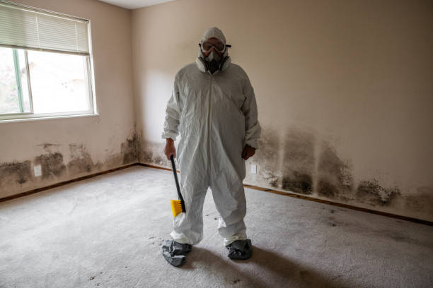 Mold Removal Process in Alakanuk, AK
